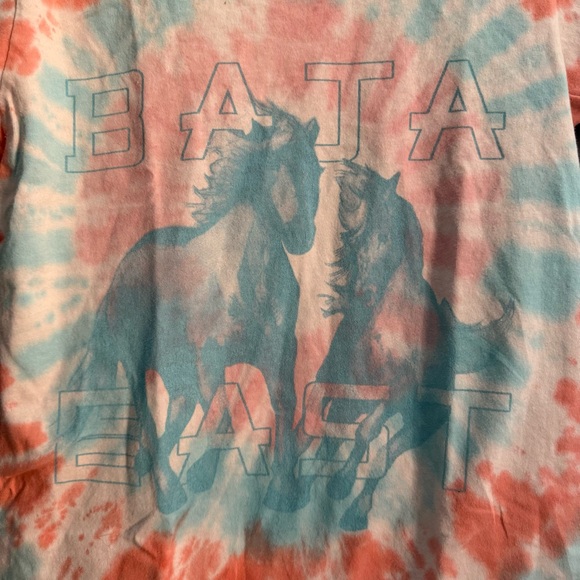 BAJA EAST • wild horses graphic tee - 0 small - Picture 2 of 7